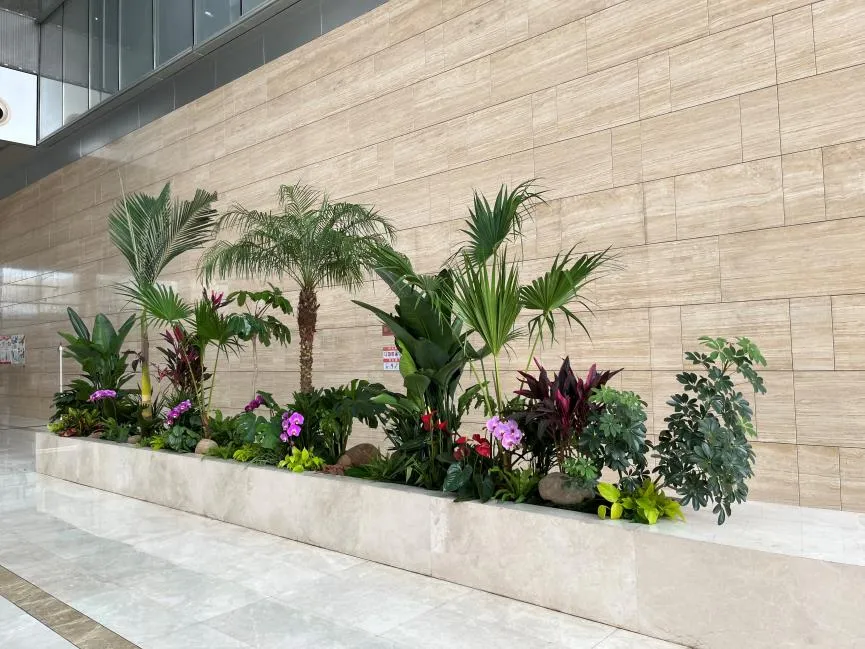 宁波慈溪花木租赁专业